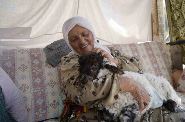 Torunu gibi büyüttüğü kuzu "Boncuk" evin neşe kaynağı oldu 
