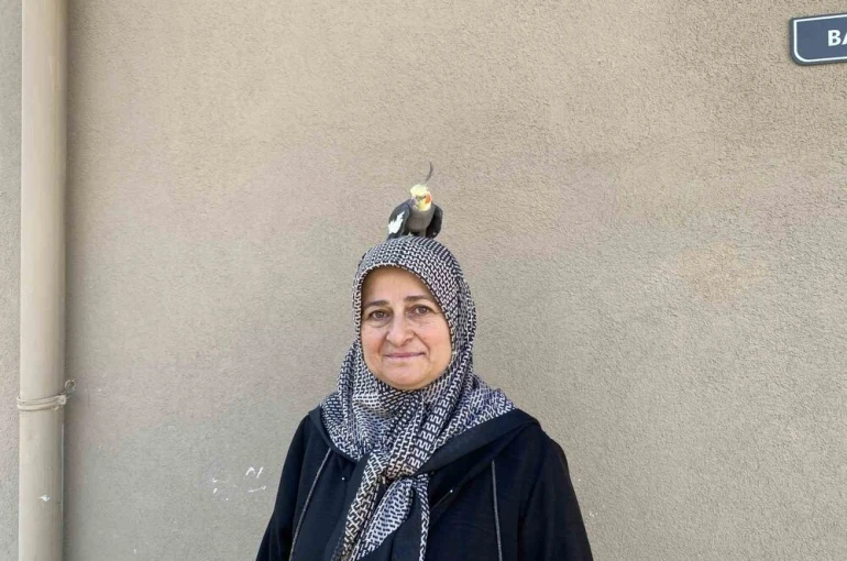 Torunu için sahiplendi, papağan çocuğu gibi oldu