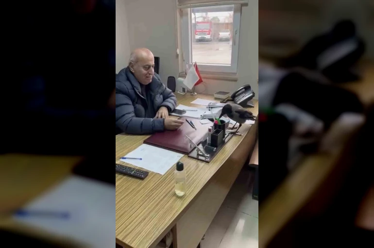 Trabzon’da belediye başkanının gülümseten karga diyaloğu