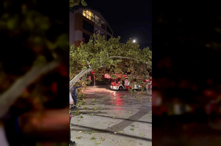 Tramvay hattına düşen dal seferleri aksattı