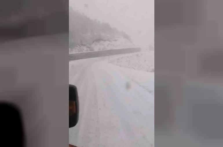 Tunceli’de, kar yağar yağmaz mücadele başladı
