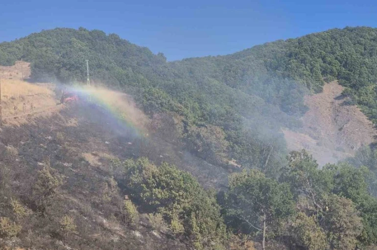 Tunceli’de kırsal alanda yangın: Havadan ve karadan müdahale sürüyor