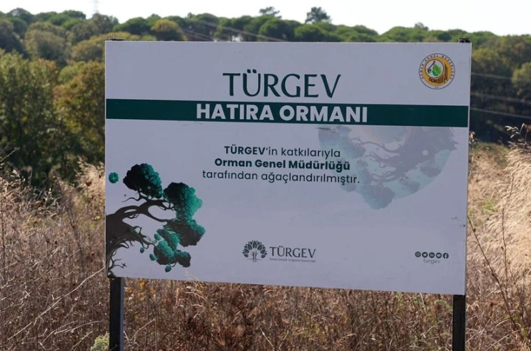 TÜRGEV’in beş yılda 20 bin 615 fidanla yeşerttiği ‘Hatıra Ormanı’ geleceğe umut olacak 