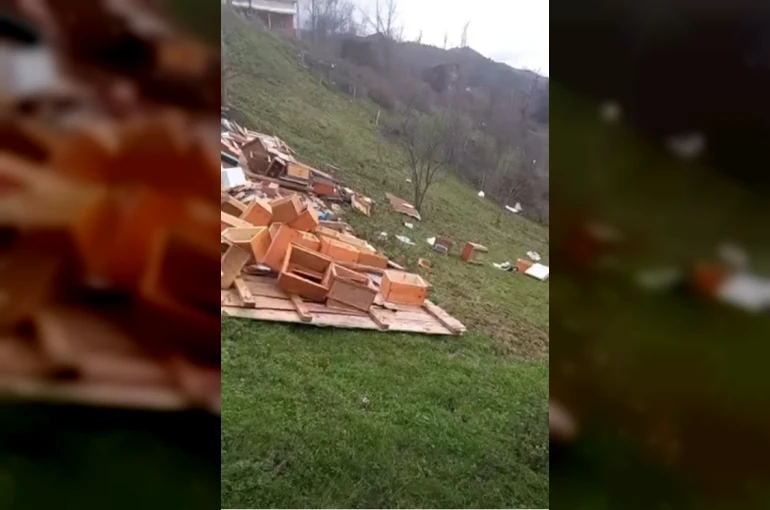 Türkeli’de fırtına arıcılığı vurdu: Onlarca kovan zarar gördü