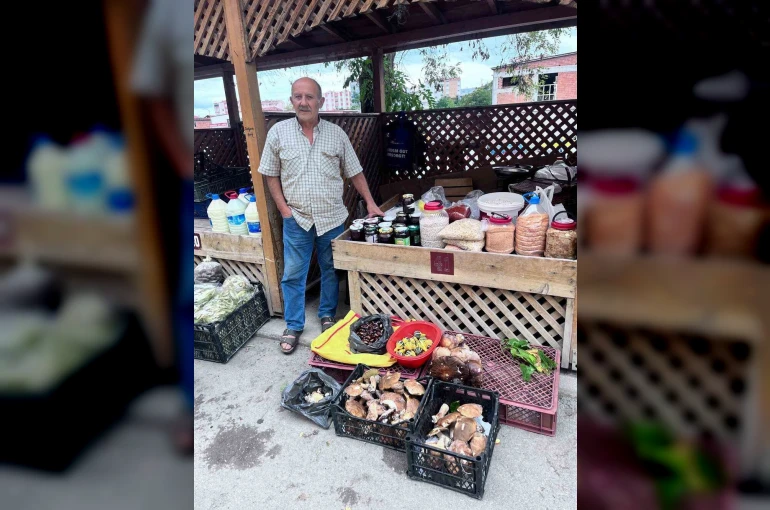 Türkeli’de kestane ve fesleğen mantarı tezgahlarda