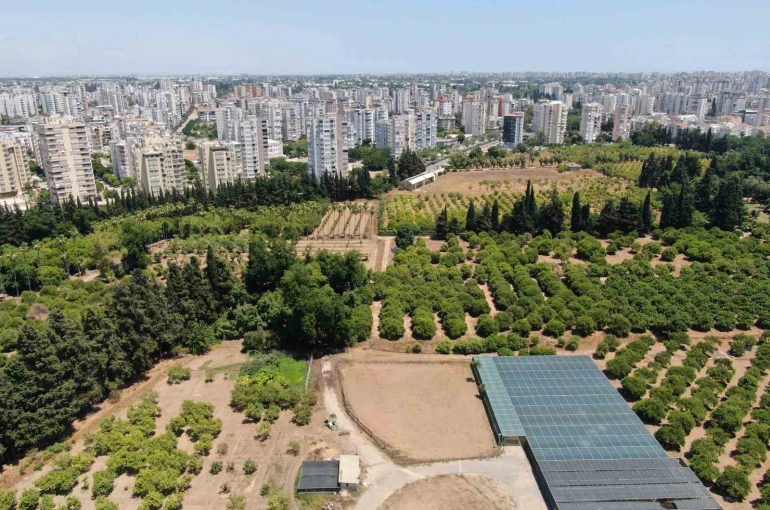 Türkiye son 20 yılda, Antalya’dan büyük tarım alanını kaybetti
