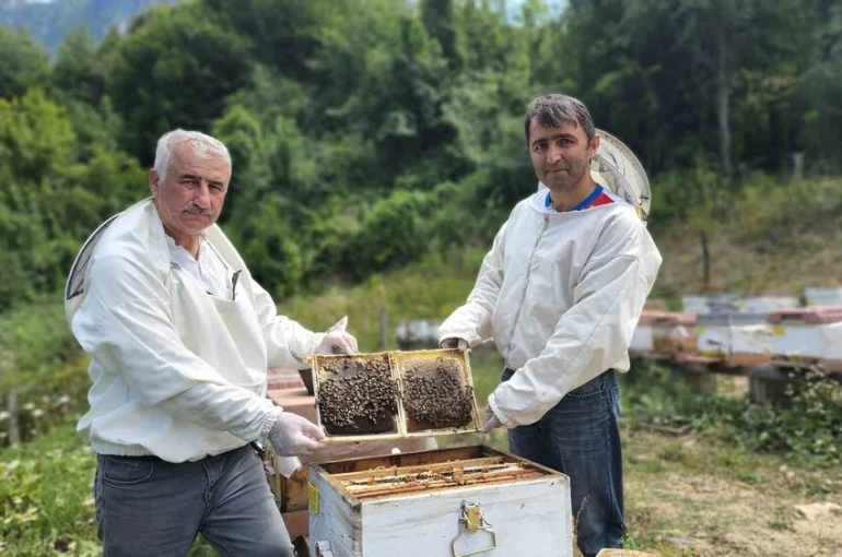 Türkiye’nin AB tescilli 43’üncü ürünü Yenice ıhlamur balı oldu