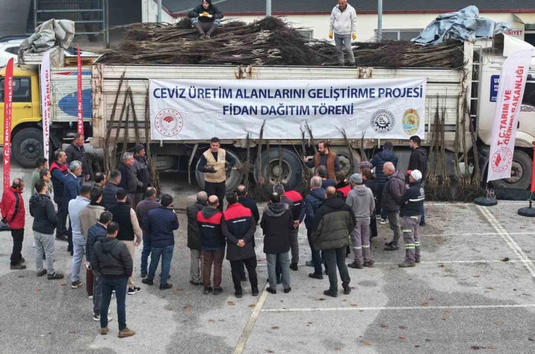 Türkiye’nin ceviz başkenti Denizli’de ceviz fidanı dağıtımı başladı