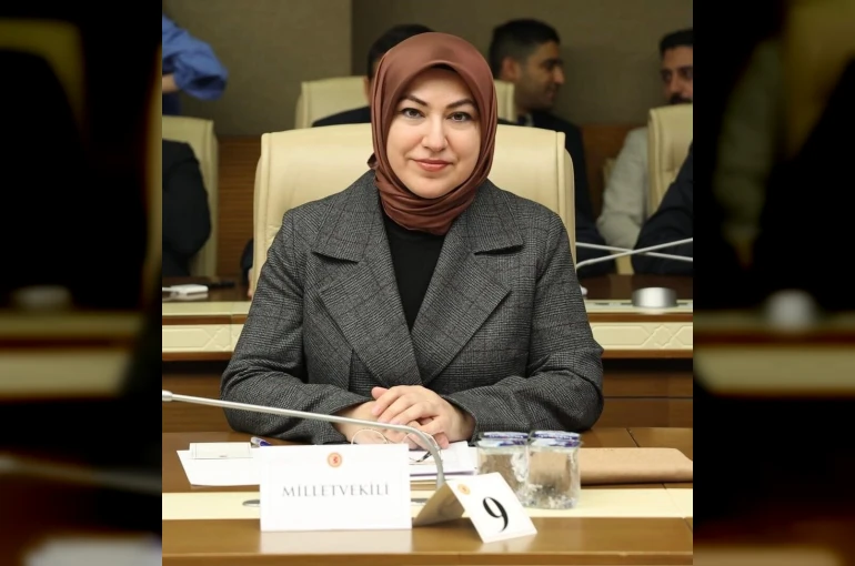 Türkiye’nin doğal miraslarını ilgilendiren kanun teklifi Meclis Başkanlığı’na sunuldu