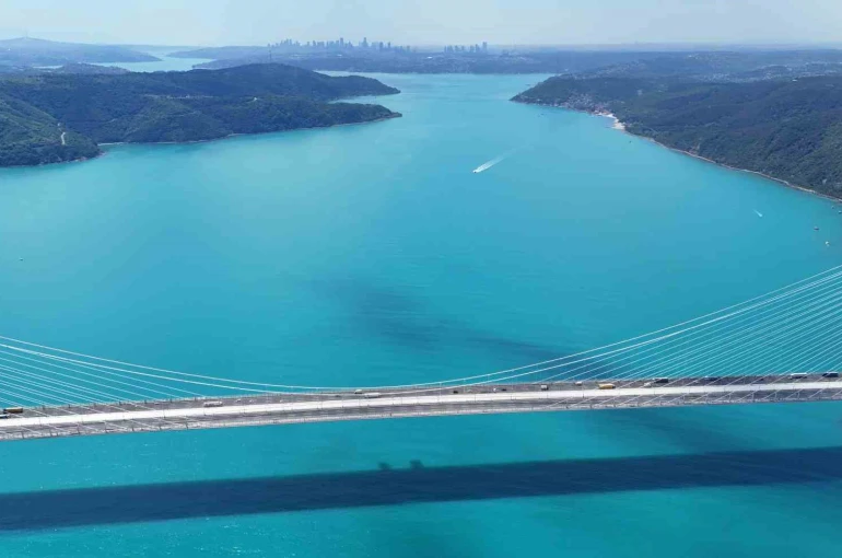 Turkuaza dönen İstanbul boğazında yunuslar akın etti