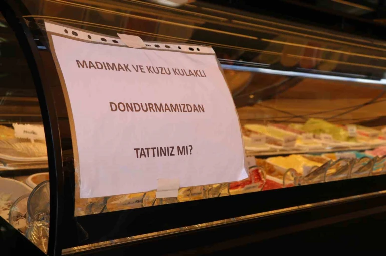 Türkülere konu olan madımakın dondurmasını yaptılar
