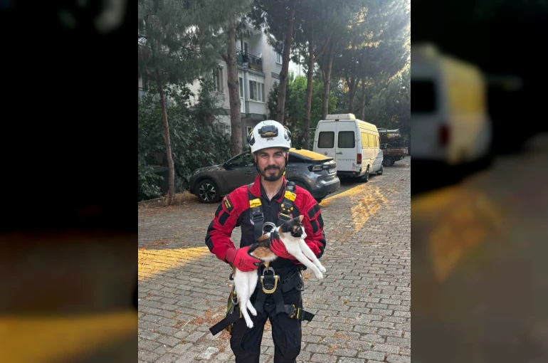 Üç gündür ağaçta mahsur kalan kedi kurtarıldı