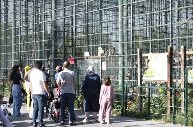 Ücretsiz olan hayvanat bahçesine ziyaretçi akını
