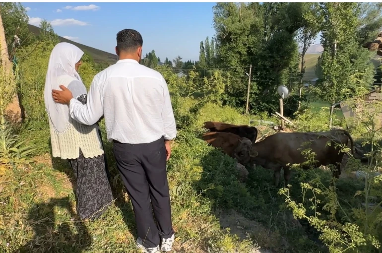 Uçurumdan düşen ineği için gözyaşı döken Ayni teyzeye yardım eli uzatıldı