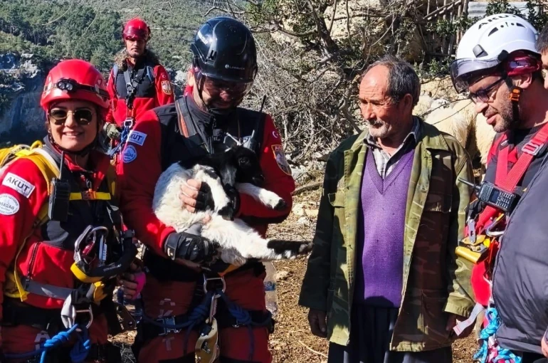 Uçurumdan düşen kuzuyu ekipler kurtardı