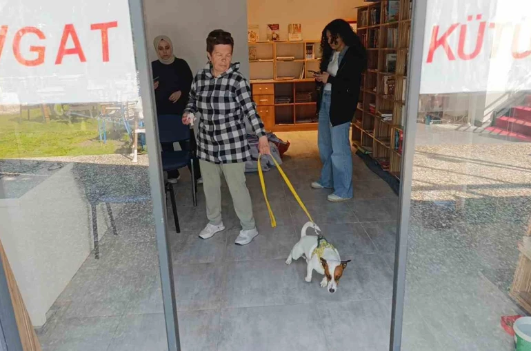Ukraynalı kadın hayatının şokunu yaşadı, kurt köpeğiyle dalaşan kucağındaki köpeği parmağını parçaladı