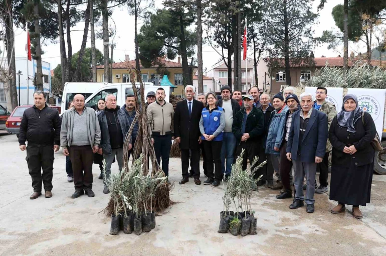 Ula’da üreticiye zeytin ve ceviz fidanı desteği