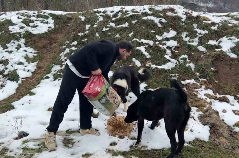 Uludağ’da aç kalan köpeklerin imdadına hayvanseverler yetişti