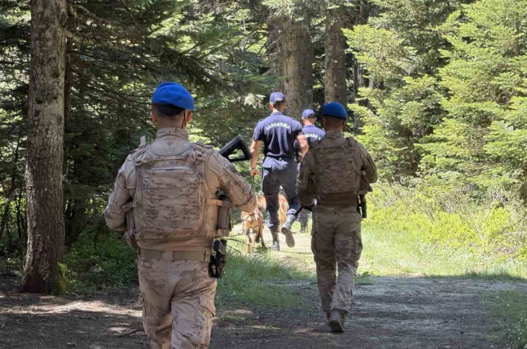 Uludağ’ın zümrüt yeşili ormanları Jandarma’ya emanet