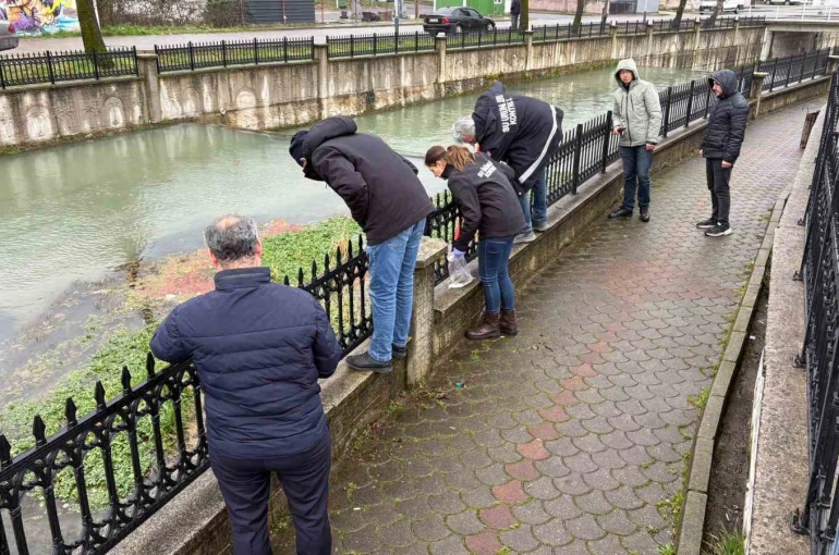 Uludere Çayı’nda binlerce ölü balık bulundu: Ekipler seferber oldu