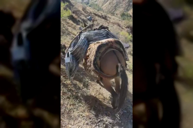 Uludere’de zorlu kaya ıslahı: Malzemeler katırlarla zirveye taşınıyor