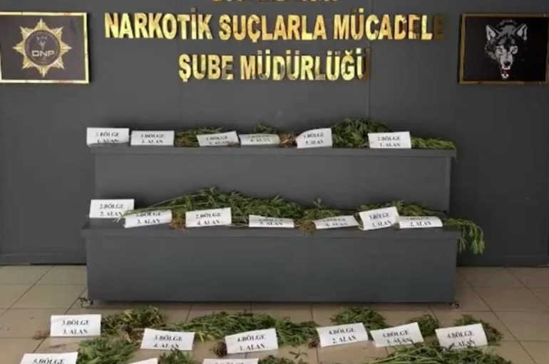 UNESCO Dünya Mirası Listesi’ndeki Hevsel Bahçeleri’nde uyuşturucu ele geçirildi