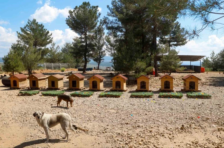 Uşak Belediyesi Başkan Vekili Özkan’dan hayvan bakımevine ziyaret