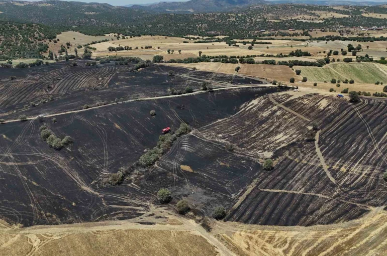 Uşak’ta çıkan yangında 300 dekar ekili alan zarar gördü