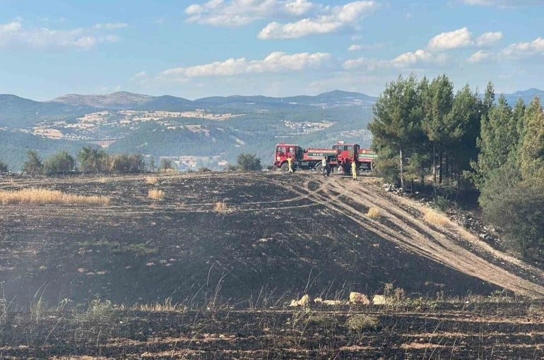 Uşak’ta ormanlık alana sıçrayan yangın söndürüldü