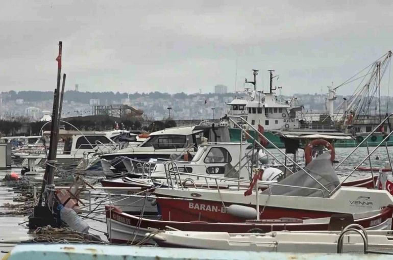 Uyanık lüfer Karadeniz zekasını kullandı: Denizlerde bol ama ağlara girmiyor