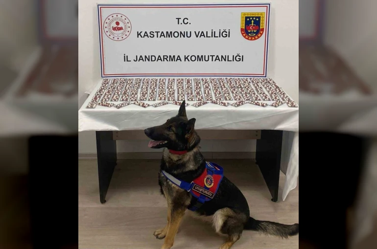 Uyuşturucuyla yakalanan şahıs utuklandı