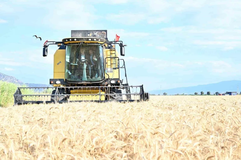 Vali Köşger Acıpayam’da bereket hasadına katıldı