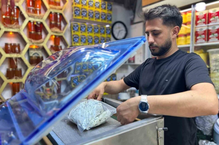 Van otlu peynirinde tuz oranı dengeleniyor