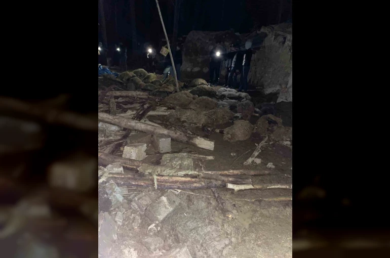 Van’da ahır çöktü: 56 küçükbaş hayvan telef oldu