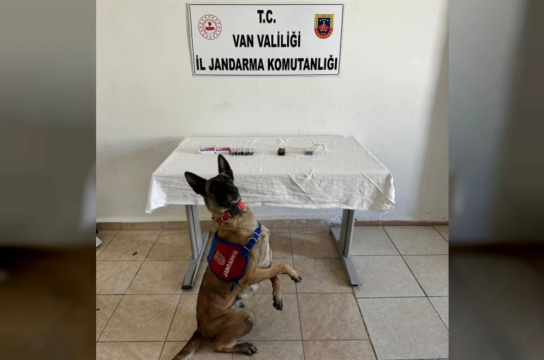 Van’da İran uyruklu şahsın üzerinden 380 adet sentetik hap ele geçirildi