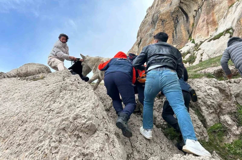 Van’da kayalıklarda mahsur kalan eşek kurtarıldı