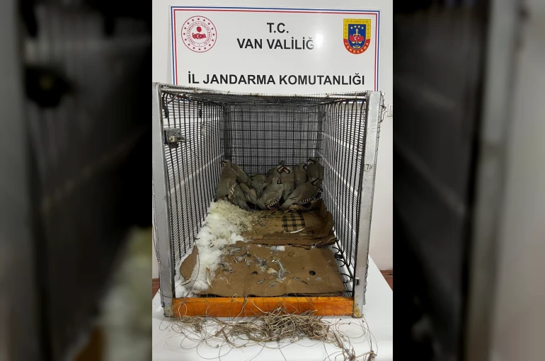 Van’da keklik avına 75 bin 303 TL idari para cezası