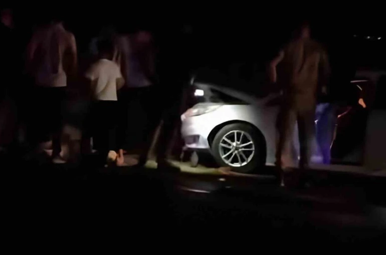 Van’da otomobil sürüye çarptı: 8 koyun telef oldu 
