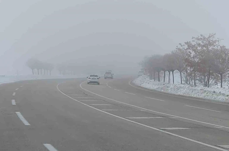 Van’da sis ulaşımı olumsuz etkiledi