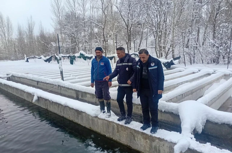 Van’da zorlu kış şartlarında alabalık üretimi mercek altında