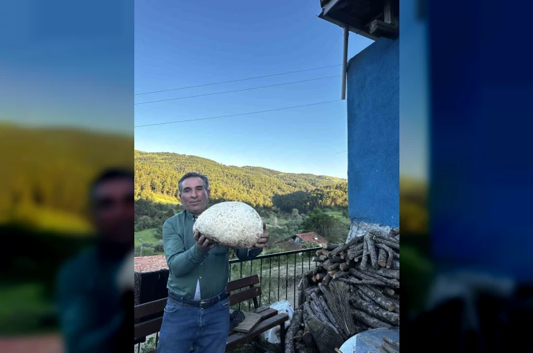 Vatandaşın bulduğu 5 kiloluk mantar şaşırttı