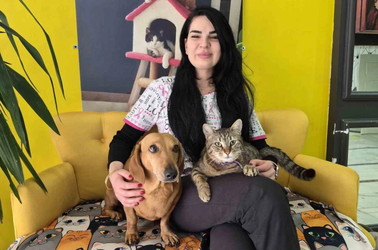 Veteriner kliniğindeki kedi ve köpek arasındaki ilginç dostluk