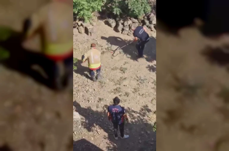 Yakalanacakken kaçan yılan, ekipleri peşine taktı