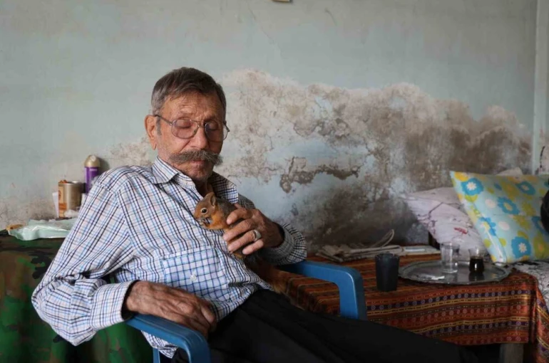 Yalnız kalmıştı, yavruyken kurtardığı ’sincap’ dostu oldu