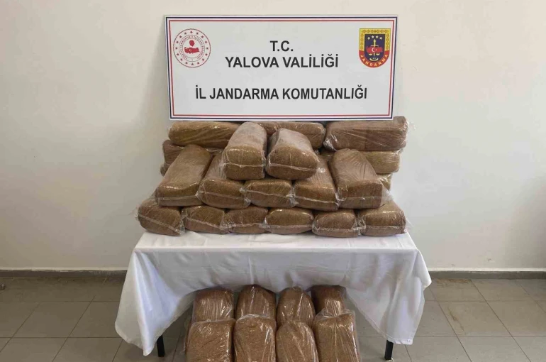 Yalova’da 160 kilo kaçak tütün ele geçirildi