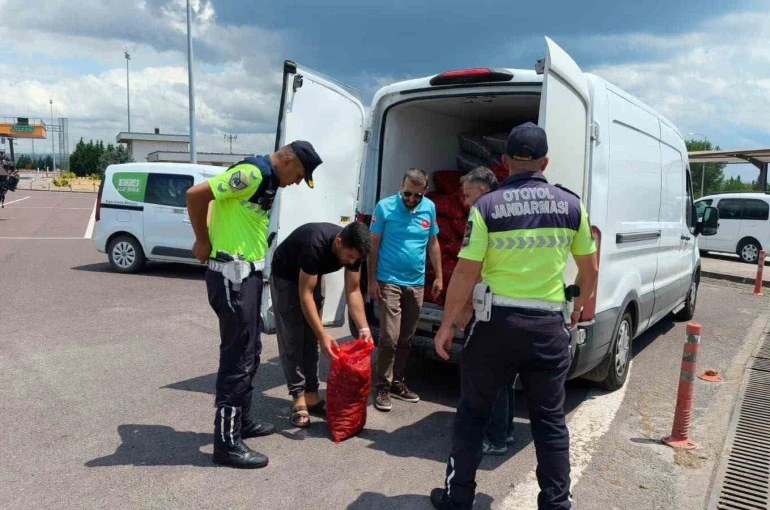 Yalova’da 3 ton kaçak midye ele geçirildi
