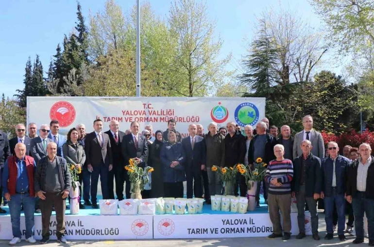 Yalova’da çiftçiye ayçiçeği ve fasulye tohumu desteği