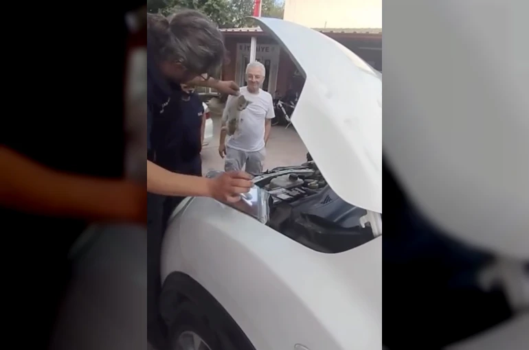 Yalova’da otomobile sıkışan minik kedinin yardımına itfaiye ekipleri yetişti