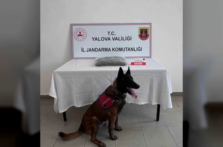 Yalova’da uyuşturucu operasyonunda 1 tutuklama