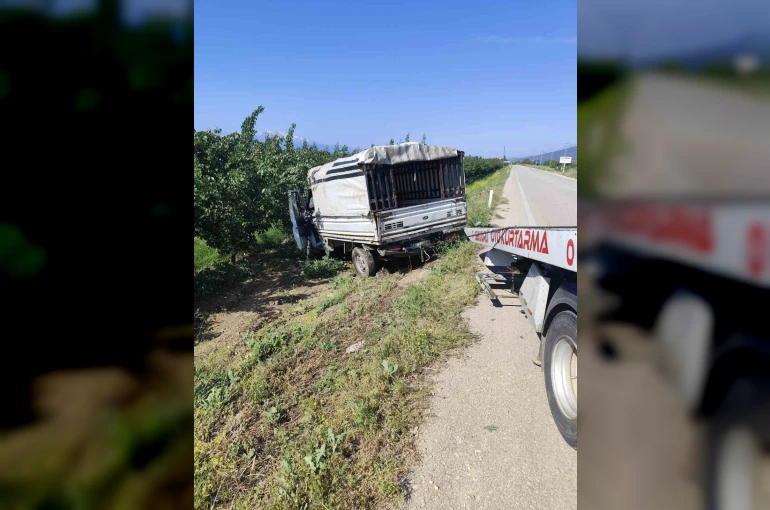 Yalvaç yolunda hayvan nakil kamyoneti kayısı bahçesine daldı: 1 yaralı